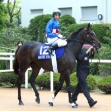 メルボルンＣ３連覇など豪Ｇ１・７勝の名牝マカイビーディーヴァが死す　０５年の天皇賞・春にも出走