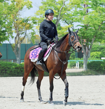 【葵Ｓ】ショウナンカリスは力強く５２秒３をマーク　加藤士調教師「１２００メートルの方が思い切って乗れる」