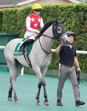 【北九州記念】痛恨の出遅れ...川田将雅騎手のデアヴェローチェは１０着　「いい競馬をしてあげられませんでした」