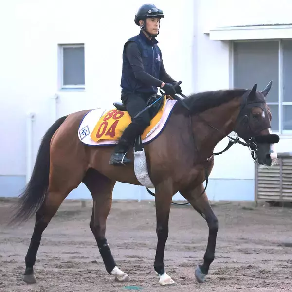 【注目馬動向】アイビスＳＤ６着エコロレジーナは１０月のルミエールＡＤへ　菊沢調教師「間に挟むレースもないので」