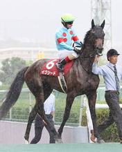 【ローズＳ】イクイノックスの全妹イクシードは追い込み届かず３着　「まだ甘い馬です」ルメール騎手