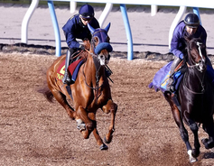 阪神JF アルバンヌ追走先着