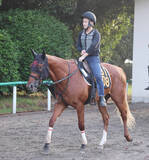 「【朝日杯ＦＳ１週前】エコロアルバの抜群に動きに田村調教師「見ていて楽しいね」」の画像1