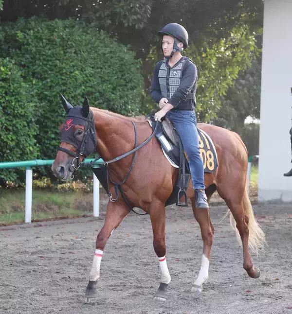 【朝日杯ＦＳ１週前】エコロアルバの抜群に動きに田村調教師「見ていて楽しいね」