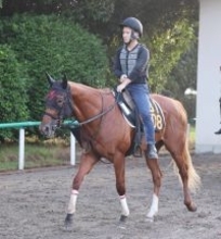 【朝日杯ＦＳ１週前】エコロアルバの抜群に動きに田村調教師「見ていて楽しいね」