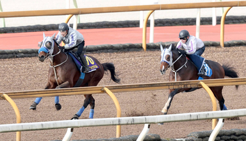【有馬記念１週前】春秋グランプリ連覇へメイショウタバルが好時計　石橋調教師「１週前としてはいい内容」