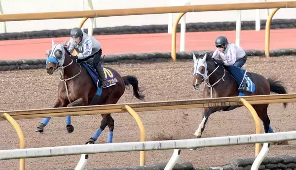 【有馬記念１週前】春秋グランプリ連覇へメイショウタバルが好時計　石橋調教師「１週前としてはいい内容」