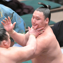 大相撲春場所の新十両に寿之富士と福崎改め藤天晴（ふじてんせい）　再十両は島津海…番付編成会議