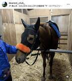 「まさにドラマ再現！「泣きそう」シャドーロール着用で小倉に登場の″ロイヤルファミリー”にＳＮＳ歓喜」の画像1