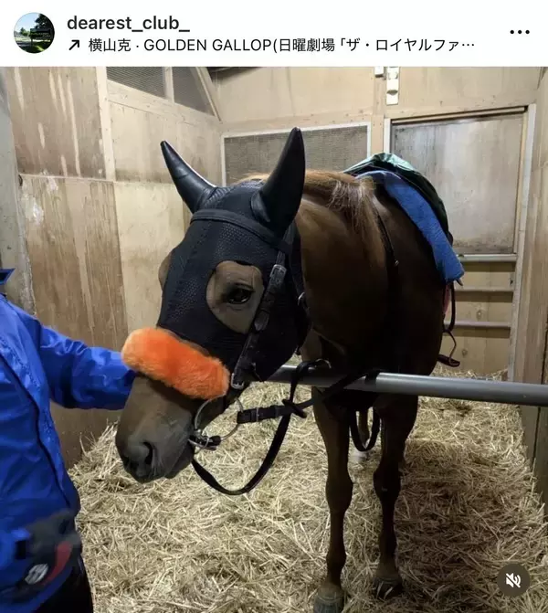 まさにドラマ再現！「泣きそう」シャドーロール着用で小倉に登場の″ロイヤルファミリー”にＳＮＳ歓喜