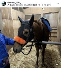 まさにドラマ再現！「泣きそう」シャドーロール着用で小倉に登場の″ロイヤルファミリー”にＳＮＳ歓喜