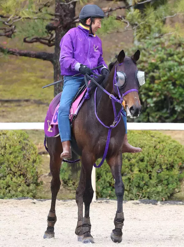 【報知杯ＦＲ】１４００メートル２戦２勝のサンアントワーヌは８枠１７番　ファンタジーＳ２着のショウナンカリスは２枠４番