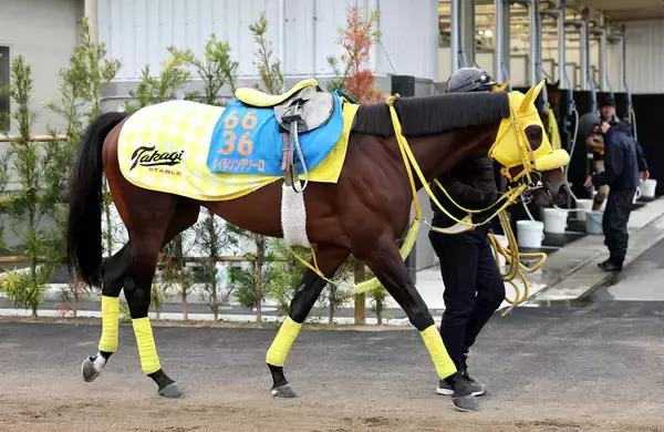 【かしわ記念】ウィルソンテソーロがＶ　表彰式で山下智久と握手の川田将雅騎手も場内沸かす「山Ｐ待ちでしょうが、すみません」