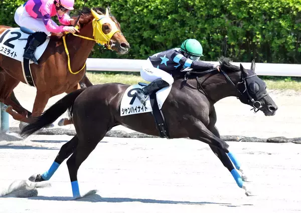 新潟で衝撃の走り！前走１４着から連闘で５馬身差Ⅴの激変ぶりに「すんごい脚」「やばいわ」　新潟７Ｒのシャンハイナイト