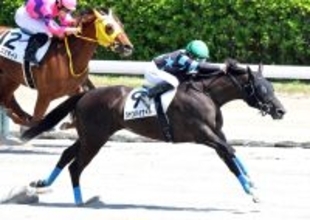 新潟で衝撃の走り！前走１４着から連闘で５馬身差Ⅴの激変ぶりに「すんごい脚」「やばいわ」　新潟７Ｒのシャンハイナイト