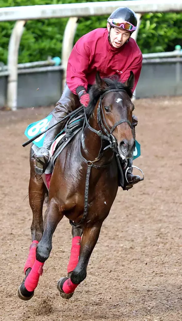 母はＧ１・４勝ラッキーライラック、日曜・福島でデビューのラッキースパークルは「全身バネ」