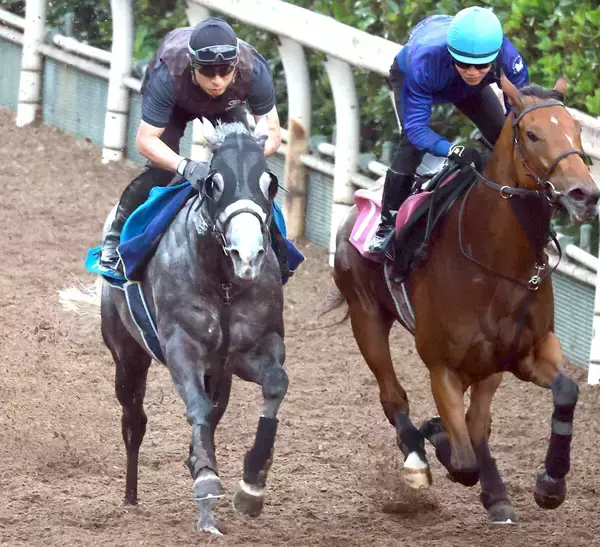 【北九州記念】昨年の勝ち馬ヤマニンアルリフラは力強い動き　斉藤崇調教師が挙げる連覇へのカギとは