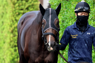 【神戸新聞杯・１週前】武豊騎手と初コンタクトの５・９億円馬エムズビギン「いい馬ですよ。間違いなく」