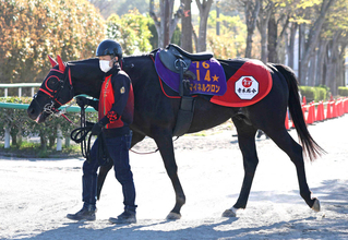 【注目馬動向】最優秀障害馬マイネルグロンが障害再試験合格　五十嵐雄祐騎手と復帰へ一歩前進　青木調教師「さすがだな」