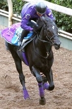 【鳴尾記念】グランヴィノスが久々感じさせぬ力強い脚さばき　友道調教師「最後までしっかり走れていた」