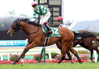 ２２年の函館２歳Ｓ覇者ブトンドールが引退　今後は生まれ故郷のノーザンファームで繁殖入りする予定