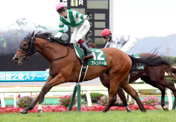 ２２年の函館２歳Ｓ覇者ブトンドールが引退　今後は生まれ故郷のノーザンファームで繁殖入りする予定