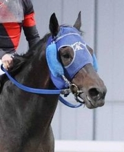 【東京大賞典】２０年ぶり地方馬がＶ　単勝７７３０円の大井・ディクテオンがＪＲＡ勢撃破　１着賞金１億円ゲット