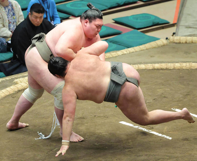 矢後が白星発進　初詣は「スポーツ振興の神」でもある亀戸・香取神社で十両復帰を祈願