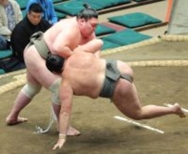 矢後が白星発進　初詣は「スポーツ振興の神」でもある亀戸・香取神社で十両復帰を祈願