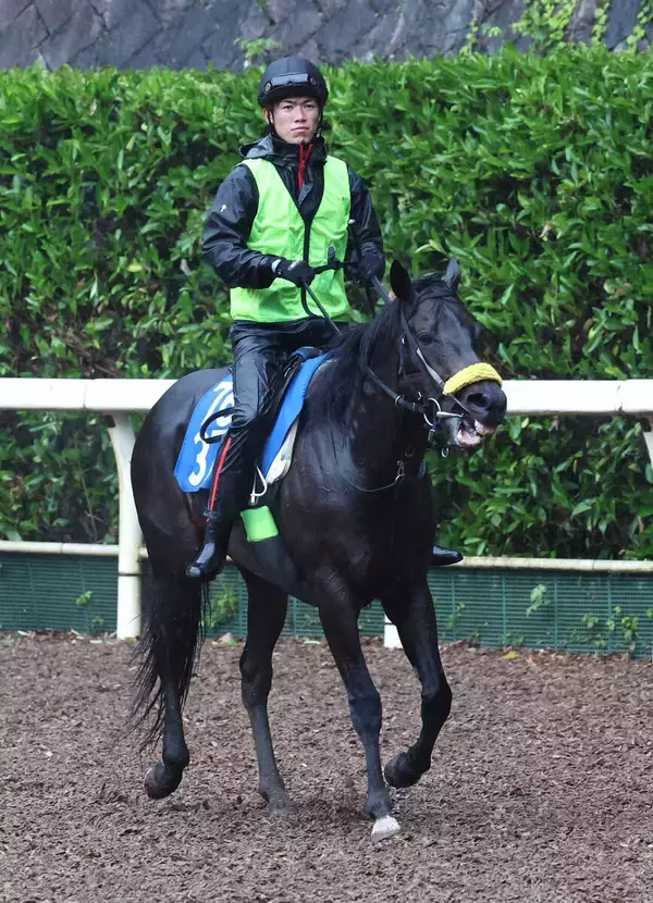 【東京スプリント】大井のファーンヒルは７着に沈む　ＪＢＣスプリントに続く連勝ならず