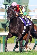 【天皇賞・春】大阪杯Ｖクロワデュノールがレーティングトップ１２２　昨年の覇者ヘデントールが１１８で続く　