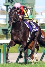 【天皇賞・春】大阪杯Ｖクロワデュノールがレーティングトップ１２２　昨年の覇者ヘデントールが１１８で続く　