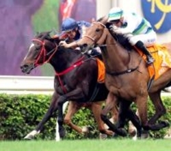 「２回も穴ぶち開けて...」昨年チャンピオンズマイルを１０番人気でＶ！　香港の「妖精」引退にネット感謝＆惜別の声