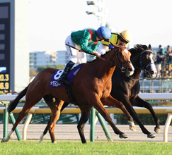 ジャパンＣの予備登録が発表　連覇を狙うカランダガンやキングジョージ覇者カルパナ、仏牝馬２冠ダイヤモンドネックレスなど２２頭