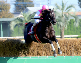 【東京ハイジャンプ】ジューンベロシティが圧巻の逃げ切りで３連覇を達成　高田潤騎手「このレースを勝つために１年間」