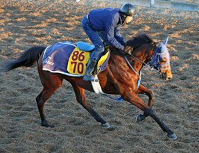 【中山金杯・浅子の特注馬】鞍上の好感触が忘れられないカネラフィーナ　２０２６年の完全飛躍へ好発進決める