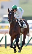 【京成杯】ソールオリエンス、ダノンデザイルに続く馬はこの中にいる！？大阪本紙予想担当・山下記者＆ＰＯＧ担当・坂本記者が激論