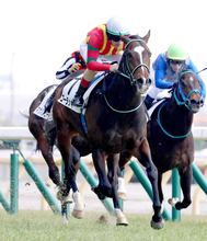 【東京５Ｒ】ゴーラッキーが３馬身半差の完勝で無傷２連勝　ルメール騎手「能力はありそう。楽しみ」