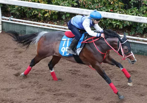 【ダービー卿ＣＴ】スズハロームはラストの伸び脚が際立つ　牧田調教師「思ったより時計は出ていました」