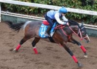 【ダービー卿ＣＴ】スズハロームはラストの伸び脚が際立つ　牧田調教師「思ったより時計は出ていました」