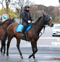 【注目馬動向】ポラリスＳ１２着のヤマニンウルスは放牧へ　次走は東海Ｓを視野