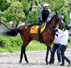 【府中牝馬Ｓ・金曜気配】ミアネーロは気合乗り良好！　気になる天候も林調教師は「Ｄコースなら馬場が...」