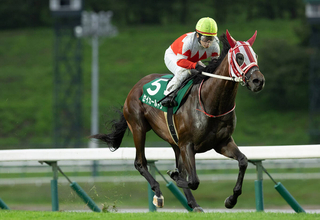 マカヒキが今年の新種牡馬で重賞一番乗り　芝マイル戦の盛岡・若鮎賞でセイカールトンがＶ
