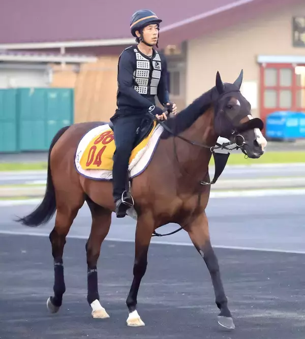 【アイビスＳＤ】「恵みの雨が欲しかった」”千直マスター”菊沢一樹騎手も無念　エコロレジーナは６着　
