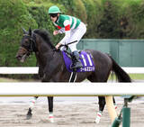 「【注目馬動向】安田記念２着同着のワールズエンドはスプリンターズＳへ」の画像1