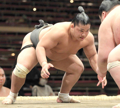 話術も光った富栄ドラムの力士時代…伊勢ケ浜部屋で誰より必死に稽古していた