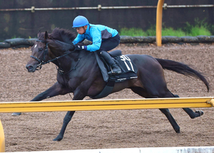 日曜中山競馬場の注目激走馬…中山１１Ｒセントライト記念・Ｇ２