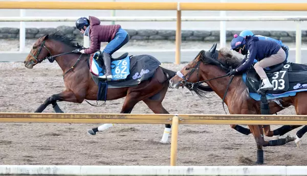 【ＡＪＣＣ】新生ファウストラーゼンが横山武史騎手との初コンタクトで弾んだ「一瞬で抜き去るような感じでした」