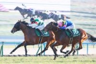 【チャーチルダウンズＣ・三戸の特注馬】シンザン記念勝ち馬のサンダーストラック　ルメール騎手との再タッグで重賞連勝へ