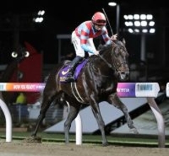 【川崎記念】カゼノランナー逃げ切りビッグタイトルゲット　西村淳也騎手「まだまだまだ、まだまだ強くなってくれる」